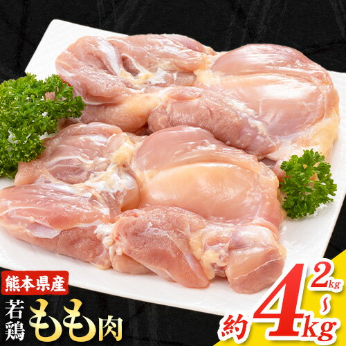 【ふるさと納税】大容量 鶏肉 発送時期が選べる 鶏もも 鶏もも肉 4kg 熊本県産 若鶏もも肉 約2kg×2袋 《30日以内に出荷予定(土日祝除く)》 肉 鶏肉 若鶏 国産 真空 冷凍 冷凍庫 鳥 鳥肉 鳥もも 鳥もも肉 モモ モモ肉 鶏モモ肉 若鶏モモ