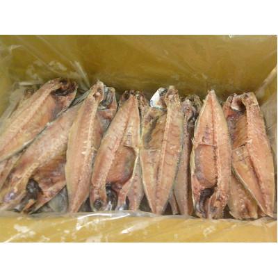 ふるさと納税 神栖市 【訳あり】規格外　あじ干物　1kg |  | 01