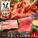 【ふるさと納税】石垣牛すきしゃぶ＋焼肉セット 合計1kg AB-8