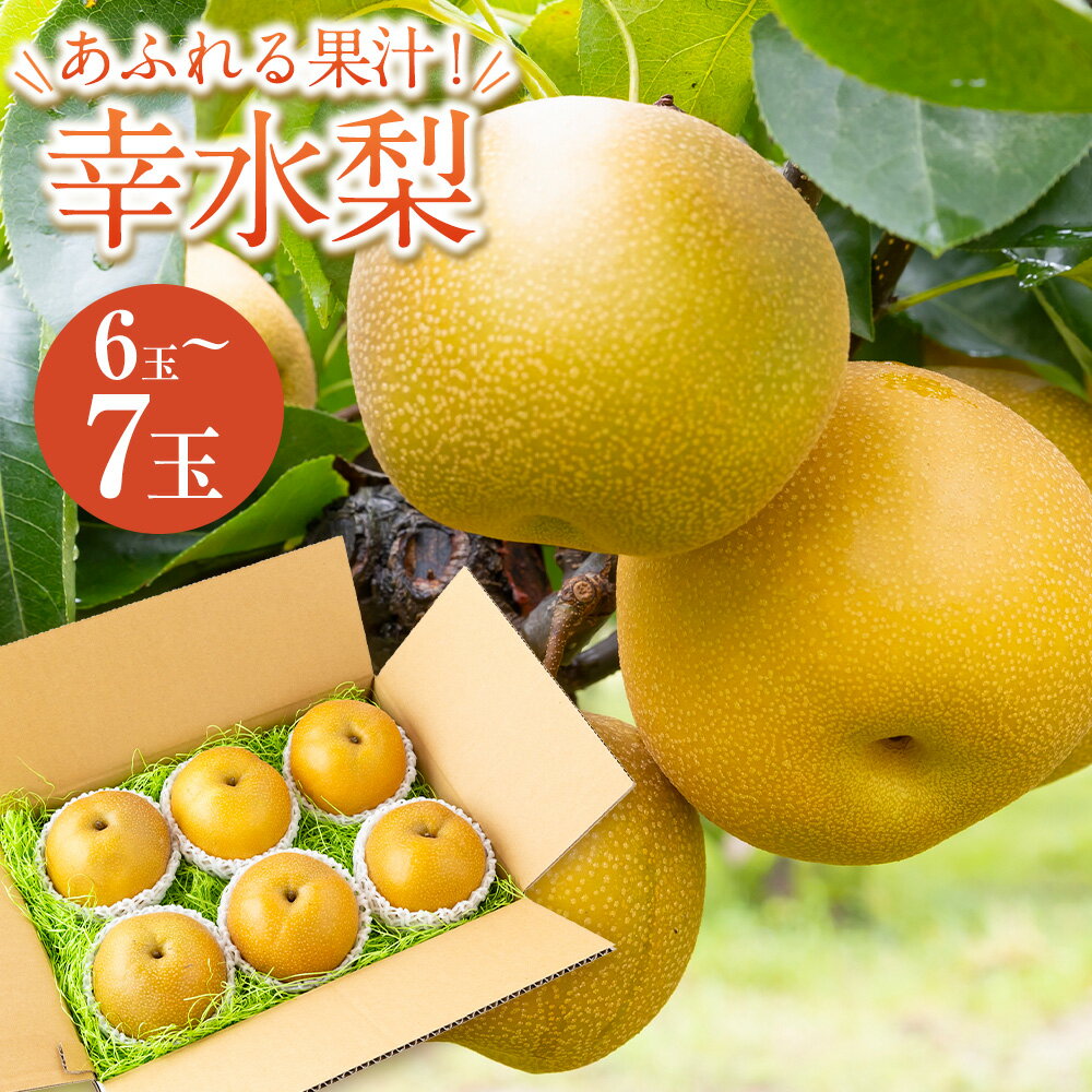 【ふるさと納税】【先行予約】しゅうたの畑 あふれる果汁 幸水梨 6玉から7玉 【2026年7月下旬～8月上旬より順次発送予定】 梨 なし ナシ 幸水 こうすい フルーツ 果実 果物 常温 送料無料 福岡県 うきは市