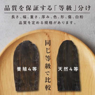 ふるさと納税 羅臼町 【北海道羅臼町200枚限定】養殖昆布4年熟成蔵出し羅臼昆布1枚入り≪化粧箱入≫ |  | 01