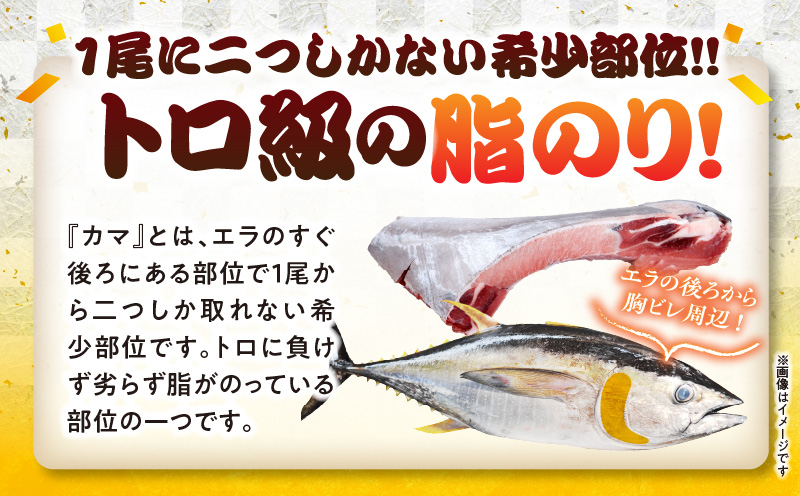 カマトロリシャス宮崎のマグロ カマ焼き キハダマグロ 新鮮_M352-003