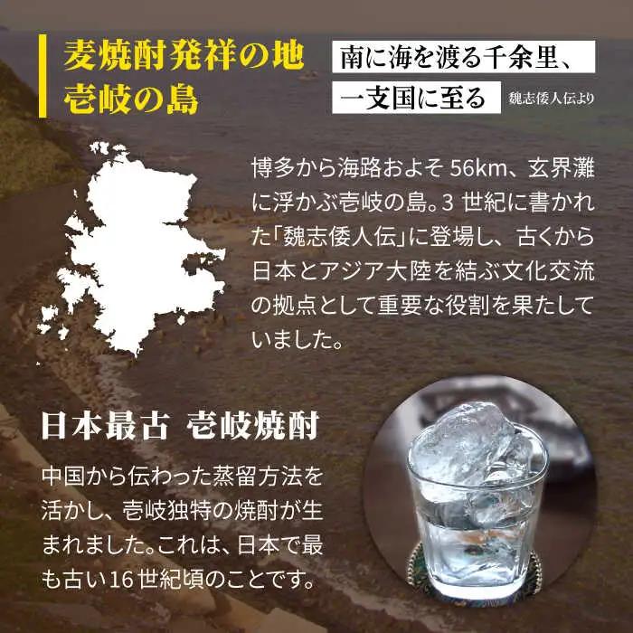 【全3回定期便】 麦焼酎 壱岐の島 20度 1800ml 紙パック 6本 《壱岐市》【天下御免】 むぎ焼酎 焼酎 麦 酒 お酒 [JDB329] 114000 114000円
