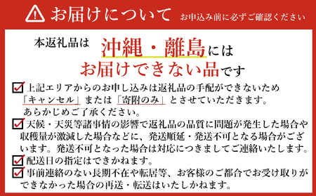 新地町産 紅はるか 生さつまいも 5kg 　2025年11月以降順次発送