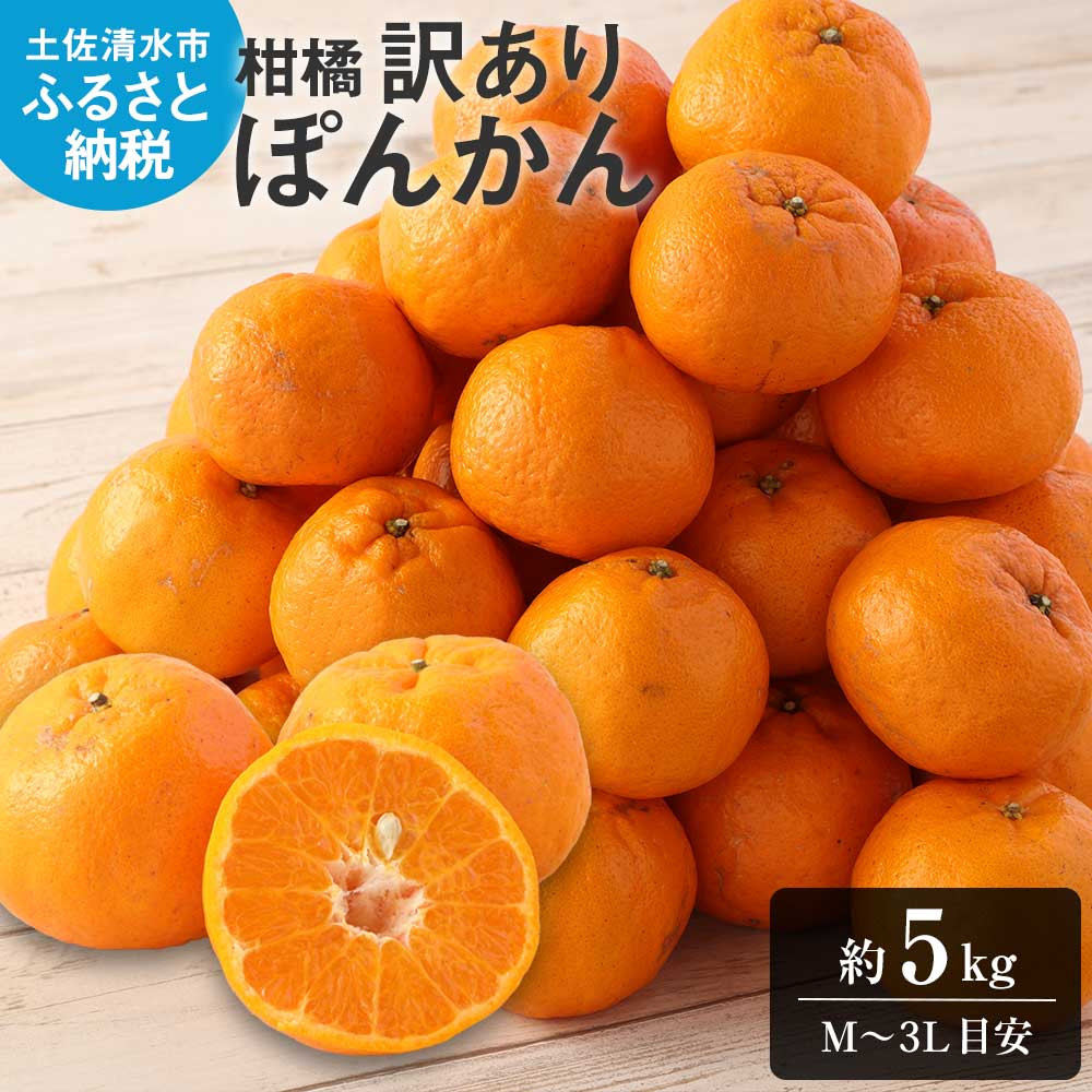 
            【先行予約】【訳あり】ぽんかん５kg 谷川果樹園 デコポンの親  みかん 蜜柑 ミカン 不知火 しらぬい 柑橘 かんきつ ポンカン フルーツ オレンジ 果物 くだもの 果汁 甘い【R01141】
          