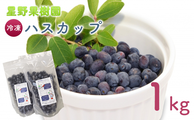 星野果樹園 冷凍 ハスカップ 約1kg (果物  フルーツ 贈り物 