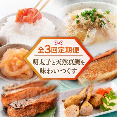 ふるさと納税 糸島市 【全3回定期便】糸島明太子と天然真鯛を味わいつくす定期便 糸島市 / やますえ [AKA089]