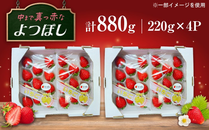 美しい輝き中まで真っ赤なよつぼし
