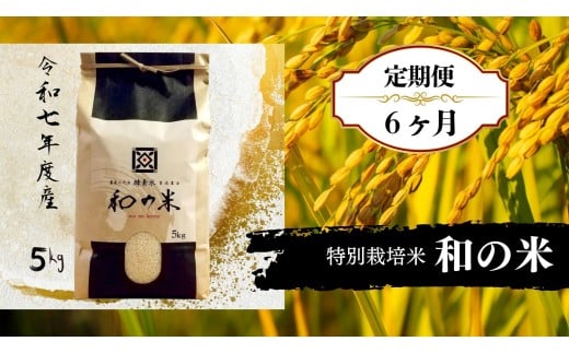 【6ヵ月定期便】《 令和7年産 》和の米「酵素米」　精米5kg×6回 ／ 米 こめ コメ お米 おこめ コシヒカリ こしひかり 和の米 酵素米 特別栽培認証 新米 白米 精米 ごはん ご飯 令和7年産 5kg 定期便 茨城県 利根町 送料無料