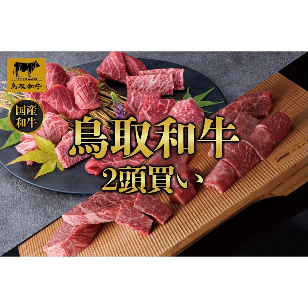 【ふるさと納税】【定期便】鳥取和牛2頭買い 12か月定期便 TB1 | 肉 お肉 にく 食品 鳥取県産 人気 おすすめ 送料無料 ギフト