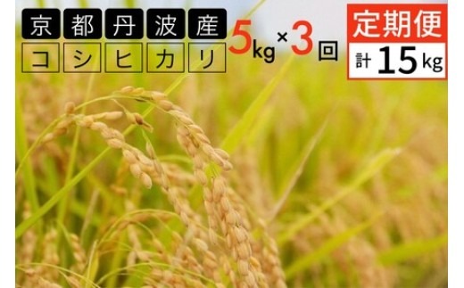 【4月発送】【定期便】令和7年産 5kg 3ヶ月 京都丹波産 コシヒカリ 白米＜JA京都 たわわ朝霧＞ 3回定期便 5kg×3回 計15kg 毎月発送に合わせて精米