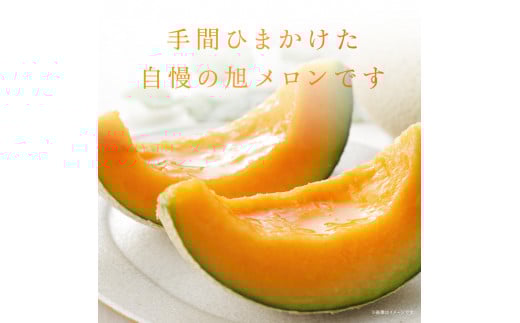 サングリーン旭【特秀】メロン（クインシー）2玉／約2kg前後