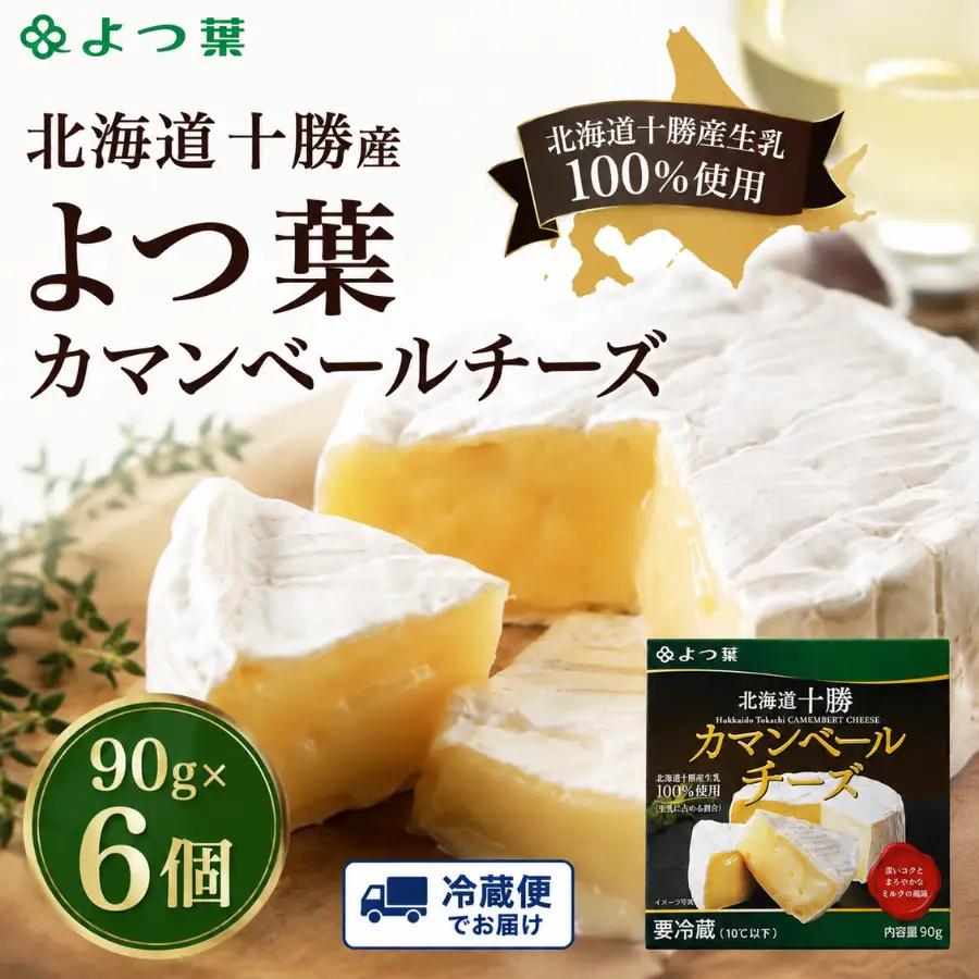 北海道  よつ葉カマンベールチーズ6個 【人気 おすすめ     セット  送料無料 】 SKA032