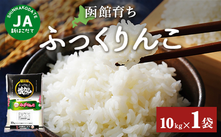 JA新はこだて函館育ちふっくりんこ10ｋｇ×1袋 【 ふるさと納税 人気 おすすめ ランキング お米 精米したて 白米 米 特Aランク米 ご飯 ふっくりんこ北海道 北斗市 送料無料 】 HOKV001 