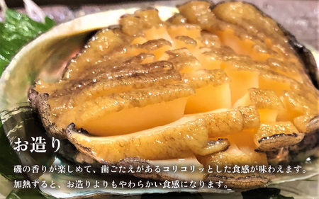 【先行予約】天然 黒アワビ 計400g (2～4個) 小サイズ 【2027年4月より順次発送予定】 鮮度抜群 黒あわび  [m17-d005_04]