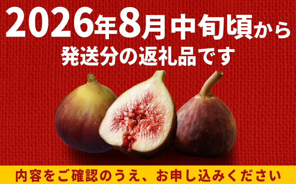 福岡県ブランド いちじく 「 とよみつひめ 」約1.2ｋｇ(約300ｇ×4パック) イチジク 無花果 国産 フルーツ 果物 食物繊維 美容 送料無料 3S2