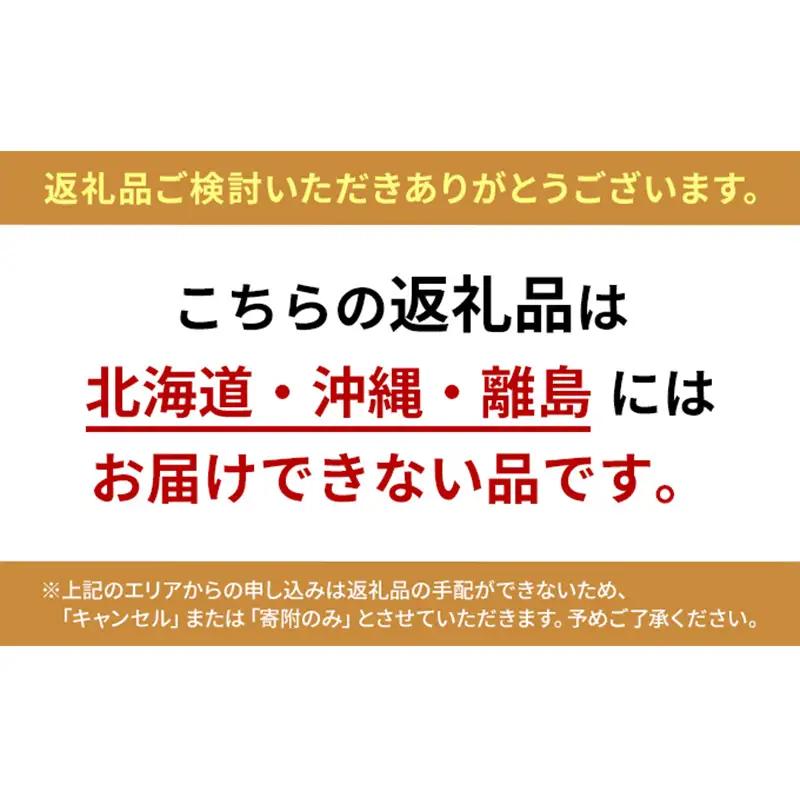 ぶどう 2026年 先行予約 赤秀ぶどう プレミアム シャインマスカット 晴王 1房 600g 9月～10月発送  岡山県産 シャインマスカット