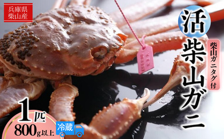 柴山産 活け タグ付 柴山がに 生 800g以上 1匹 冷蔵 かに カニ  37-06