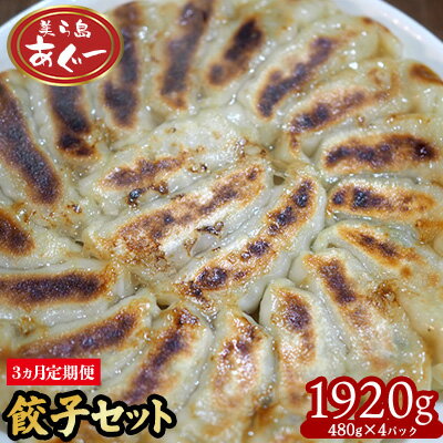 【ふるさと納税】【3ヵ月定期便】　【美ら島あぐー】餃子セット1920g【480g×4パック】 あぐー もっちり 沖縄 大宜味村 豚肉 小分け 国産 おつまみ こだわり ぶた アグー 加工品 おいしい 美味しい 取り寄せ 豚 肉 冷凍 まろやか 旨味
