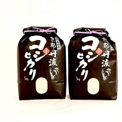 ふるさと納税 京丹波町 京丹波こしひかり 10kg 令和7年産 京都 米 精米 コシヒカリ |  | 01