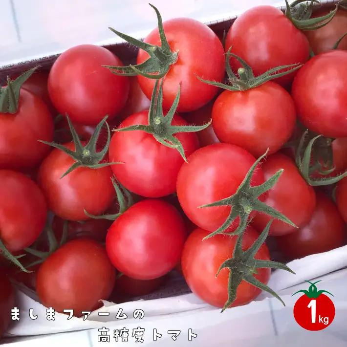 【2025年12月～発送】高糖度ミニトマト＜約1kg＞ 秀品  フルティカ【化粧箱入／プレゼント・ギフト・贈答用に】小分けパック アイメック☆ ましまファーム フルーツトマト