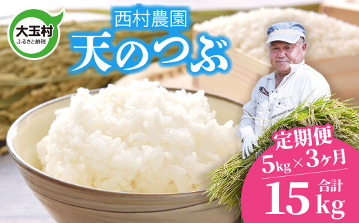 米 定期便 天のつぶ 15kg ( 5kg × 3ヶ月 ) 《 令和8年 》 福島県 大玉村 西村農園  ｜ てんのつぶ テンノツブ 精米 定期 3回 コメ ｜ nm-tt05-t3-R8