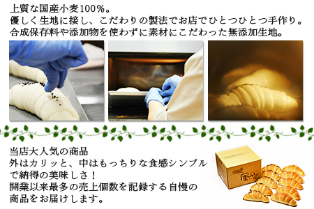 ＜塩バターロール・あん塩バターロール 各5個 合計10個＞翌月末迄に順次出荷