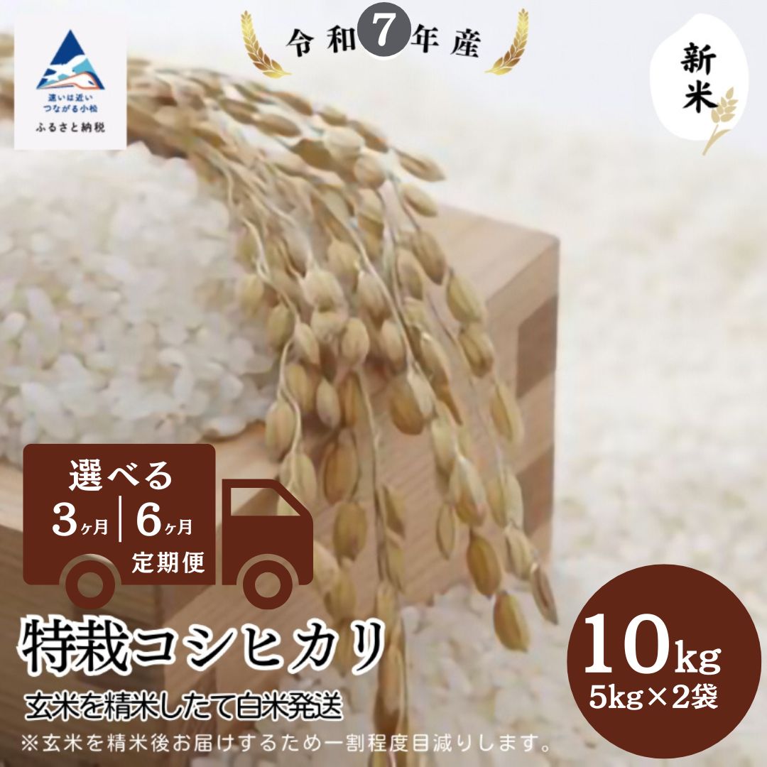 【ふるさと納税】【定期便】特栽コシヒカリ 10kg(5kg×2袋) 選べる 3ヶ月 / 6ヶ月 玄米 精米したて白米発送