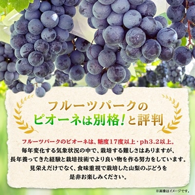 ピオーネ 約550g×3房 山梨市産 「ピオーネ(種なし)」 詰め合わせ【配送不可地域:離島・沖縄県】