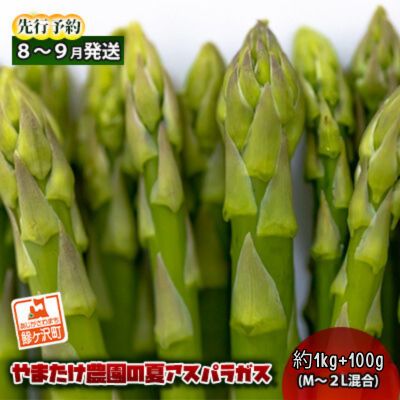 【ふるさと納税】アスパラガス 先行予約 夏アスパラガス 約1kg+100g M～2L 混合 やまたけ農園 アスパラ グリーンアスパラ 野菜 夏野菜 夏 旬 旬の野菜 産地直送 2025年 2025 先行 予約 青森 冷蔵 冷蔵配送 7月～9月発送　お届け：2025年7月25日～2025年9月10日