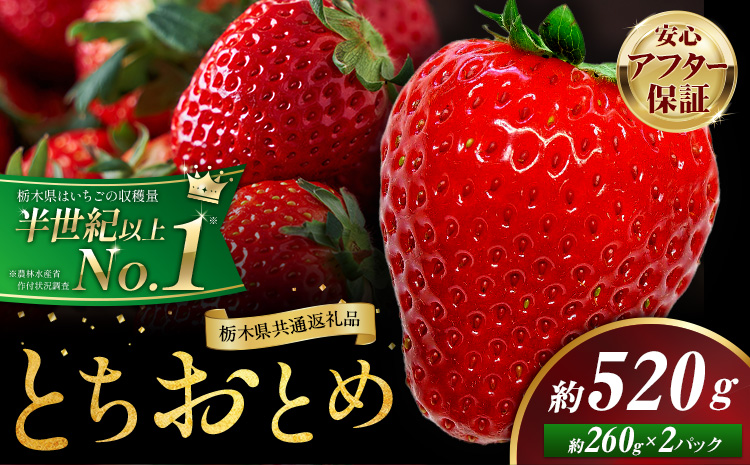 栃木 いちご とちおとめ 2パック 520g 《1月中旬-5月上旬頃出荷》 栃木県 野木町 いちご イチゴ 苺 とちおとめ 果物 フルーツ ジューシー 【配送不可地域】沖縄・離島
