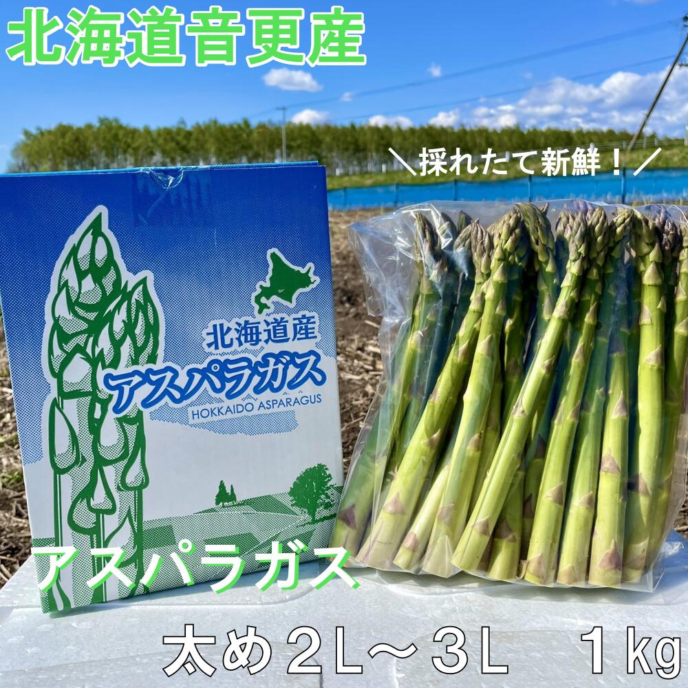 【ふるさと納税】［先行受付］北海道音更産「川野農園」のグリーンアスパラ 1kg (太め2L～3L)【A66】 グリーンアスパラ アスパラ アスパラガス やさい 野菜 十勝 冷蔵 北海道 音更町 送料無料【2026年5月中旬～6月上旬発送予定】