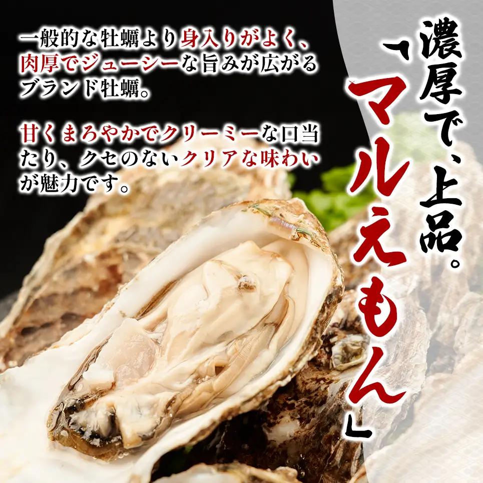 北海道 厚岸産 ブランド牡蠣 マルえもん 殻付き 牡蠣 Lサイズ 40個 【光輝】 [ 魚貝類 生牡蠣 海鮮 海の幸 生食用牡蠣 生食用 生食用殻付き牡蠣 濃厚 甘み  オイスター ]  
