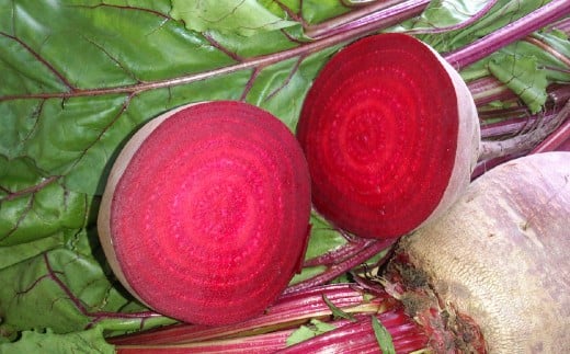 自社農園栽培 生ビーツ1kg ビーツ やさい 野菜 健康 美容 冷蔵 国産 九州 熊本県 あさぎり町