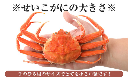 【訳あり】急速冷凍 ボイルかに 越前せいこがに 150g前後 × 5杯入 越前かに 食べ方しおり付【海鮮 蟹 セコガニ ずわいがに雌 かに 越前ガニ ゆでカニ 冷凍かに 送料無料】 [e15-b009