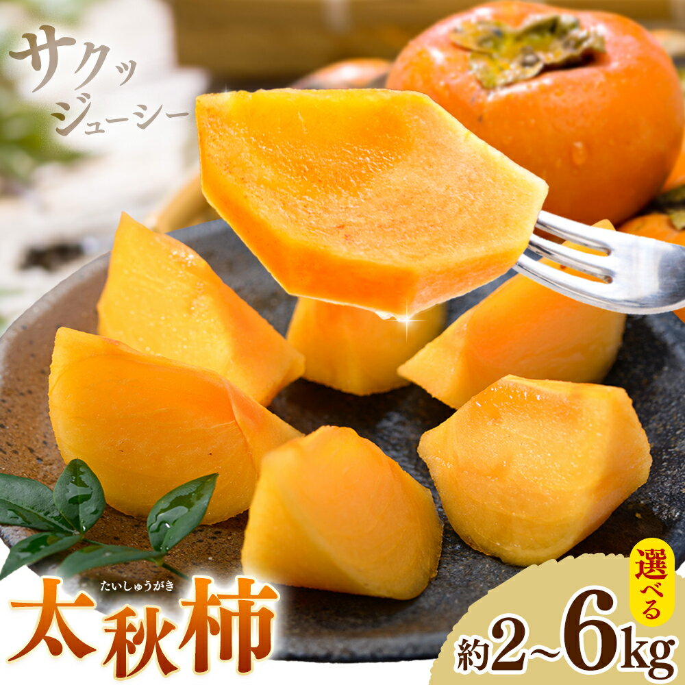 【ふるさと納税】柿 太秋柿 たいしゅうがき 選べる 約2kg 約3kg 約6kg 日本フルーツ株式会社《9月上旬-10月末頃出荷》熊本県 菊池市 柿 かき 熊本県産 秋の味覚 果物 くだもの フルーツ デザート
