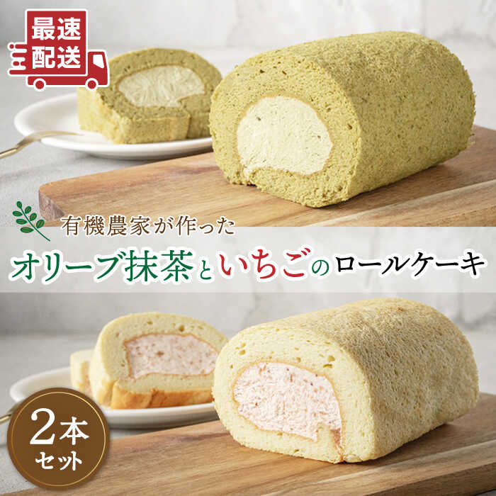 【ふるさと納税】【父の日ギフト対象】オリーブリーフの抹茶＆つぶつぶ糸島いちご ロールケーキ2本セット《糸島》【わかまつ農園】 [AHB014] 13000円