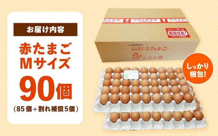 【朝採れ直送】小峰鶏園 赤たまご Mサイズ 90個 / 卵 玉子 たまご 卵焼き 玉子焼き 生卵 鶏卵 卵かけごはん / 諫早市 / 小峰鶏園 [AHFB002]