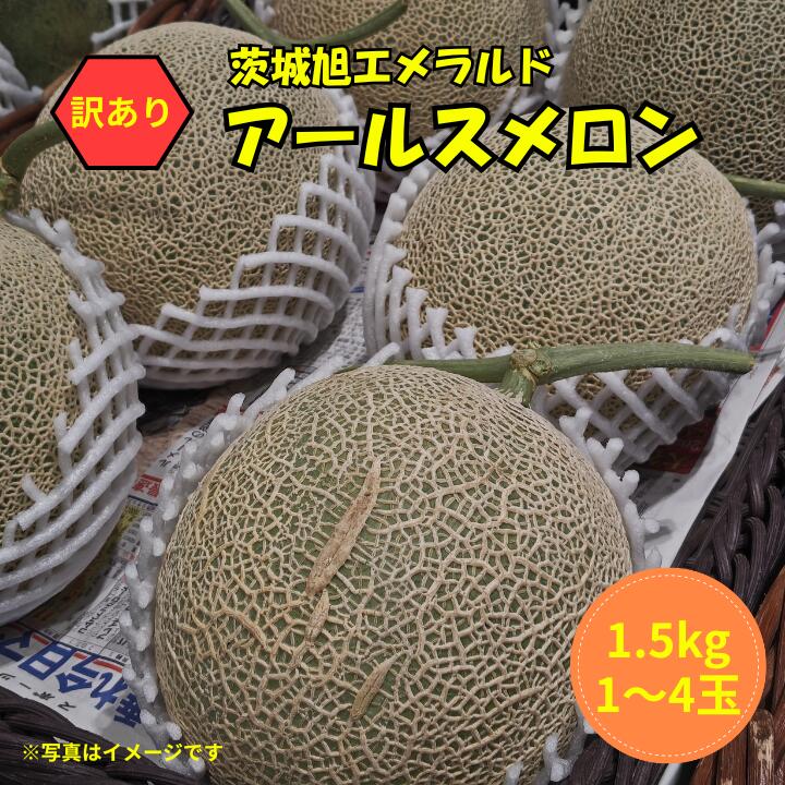 【ふるさと納税】 【訳あり】アールスメロン 1玉（1.5kg）茨城旭エメラルド　1～4玉