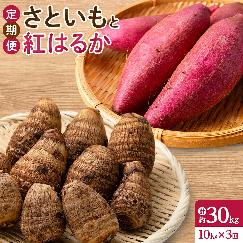 【ふるさと納税】＜定期便・全3回＞＜先行予約受付中！2026年10月上旬～2027年2月下旬発送予定＞さといもと紅はるかのセット(約10kg×3回・計約30kg) 【鳥取県 境港市】 | 定期便 頒布会 野菜定期便 芋 定期配送 3回配送 里芋 サトイモ 紅はるか さつまいも サツマイモ