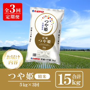 ＜3ヶ月定期便＞宮城県産 つや姫 合計15kg (5kg×3回) お米 おこめ 米 コメ 白米 ご飯 ごはん おにぎり お弁当 ブランド米 宮城米 頒布会【株式会社パールライス宮城】ta610