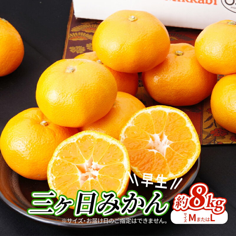【ふるさと納税】【2025年11月中旬より順次発送】 三ヶ日みかん 早生 8kg M～L 早生みかん みかん 蜜柑 ミカン 果物 くだもの 旬のフルーツ 旬の果物 季節のフルーツ 季節の果物 柑橘 柑橘類 静岡 静岡県 浜松市　お届け：2025年11月中旬～2025年12月中旬