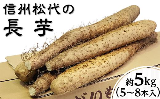 
J0638信州の長芋【調理しやすい食べきりサイズ】5～8本入り
