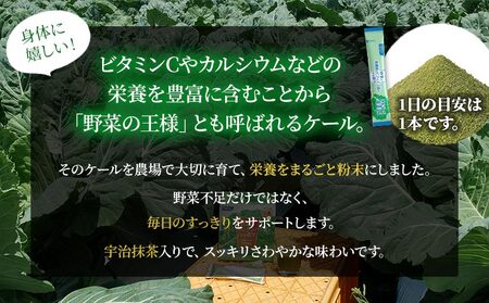 ＜野菜と乳酸菌とビフィズス菌がとれる青汁 6回定期便＞ ケール 粉末 すっきり 契約農家 健康 濃縮野菜 無添加 ミネラル農法 化学農薬不使用 青汁 飲料 野菜不足解消 グリーンヒル ファンケル FA