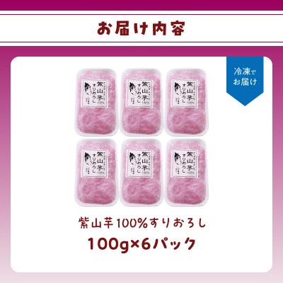 ふるさと納税 大分市 紫山芋100%すりおろし 100g×6袋_K10030 |  | 03