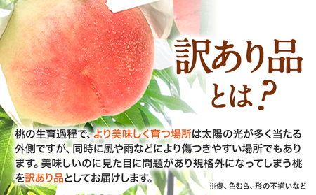 【訳あり】 ご家庭用 和歌山の桃 約2kg (6玉-8玉) m＆n果実園 【配送不可地域あり】《2027年6月中旬-7月下旬頃出荷》和歌山県 紀の川市 モモ 桃 もも 旬 白鳳 日川白鳳 なつっこ 果