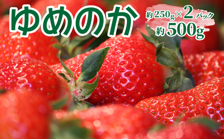 いちご　ゆめのか 250g×2パック　秀品　苺【期間・数量限定】贈答用　＜2027年1月下旬～3月下旬頃発送予定＞