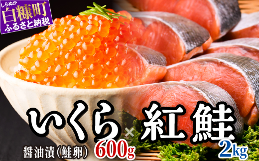 醤油漬鮭いくら 600g(100g×3パック×2)×紅鮭切り身【2.0kg】 小分け 国産 極上品 いくら醤油漬 いくら醤油漬け イクラ醤油漬け ikura 魚介類 魚介 海鮮 ごはんのお供 おかず 白米 魚卵 極上 プチプチ食感 新鮮 ギフト ふるさと納税