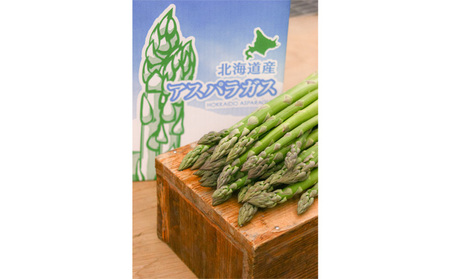 アスパラガス 富良野産 露地栽培 山本農園 アスパラガス【約1.5kg 42本前後】