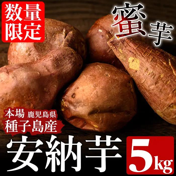安納芋 さつまいも 5kg 【種子島安納株式会社】n148
